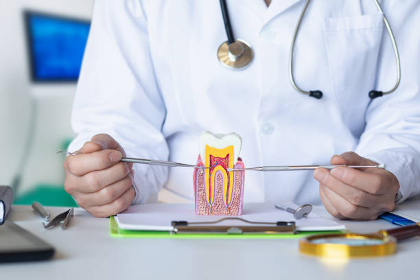 Best Emergency Root Canal Treatment in Dover, FL
